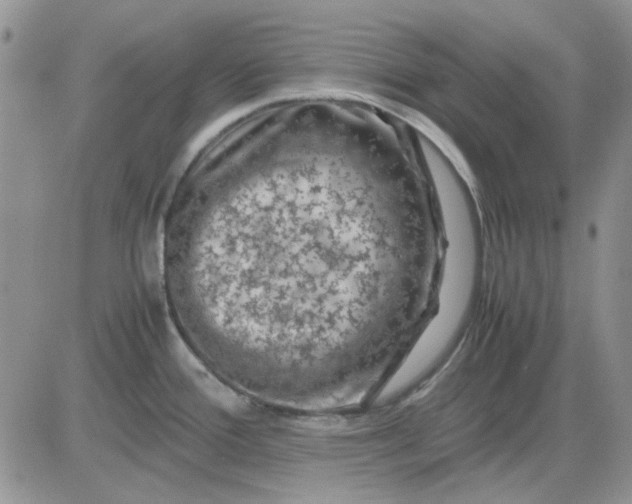 X0000081471388200701261952