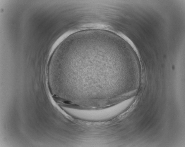 X0000081471389200701261952