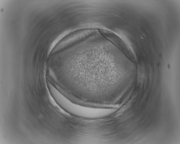 X0000081471390200701261952