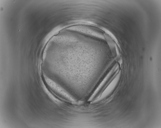 X0000081471391200701261952