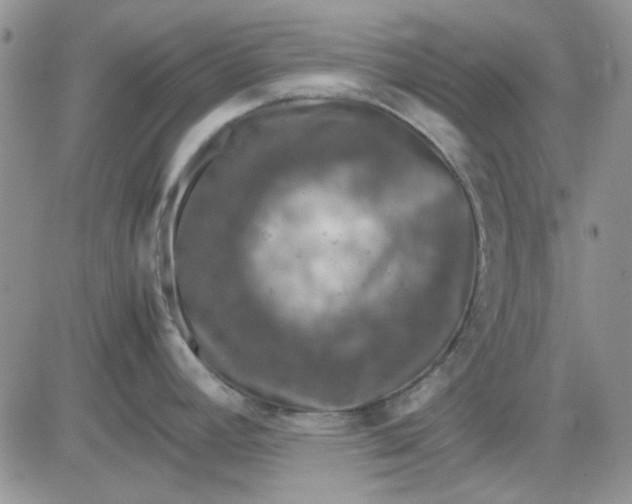 X0000081471392200701261952