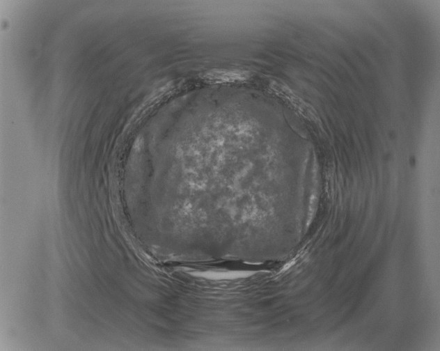 X0000081471393200701261951