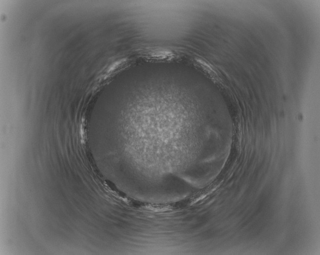 X0000081471394200701261951