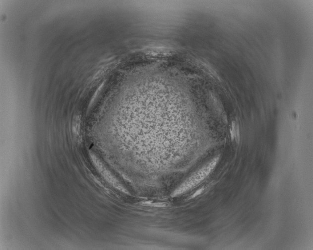 X0000081471396200701261951