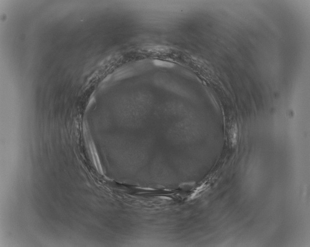 X0000081471397200701261951