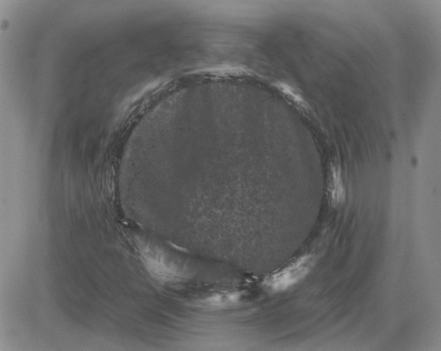 X0000081471398200701261951