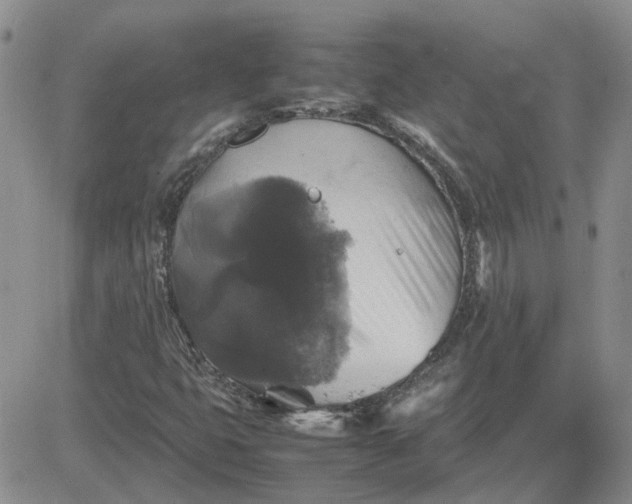 X0000081471399200701261951