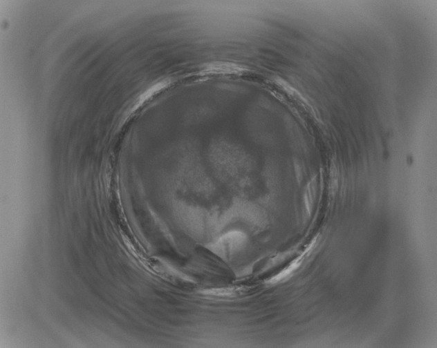 X0000081471401200701261951