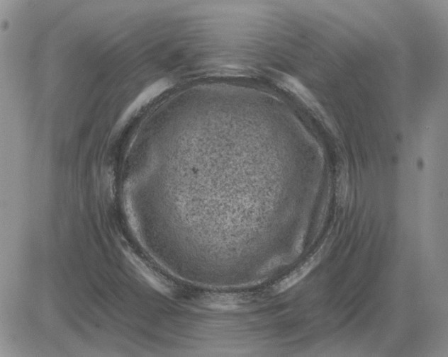 X0000081471402200701261951