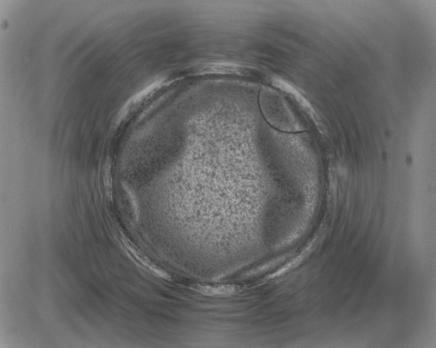 X0000081471403200701261951