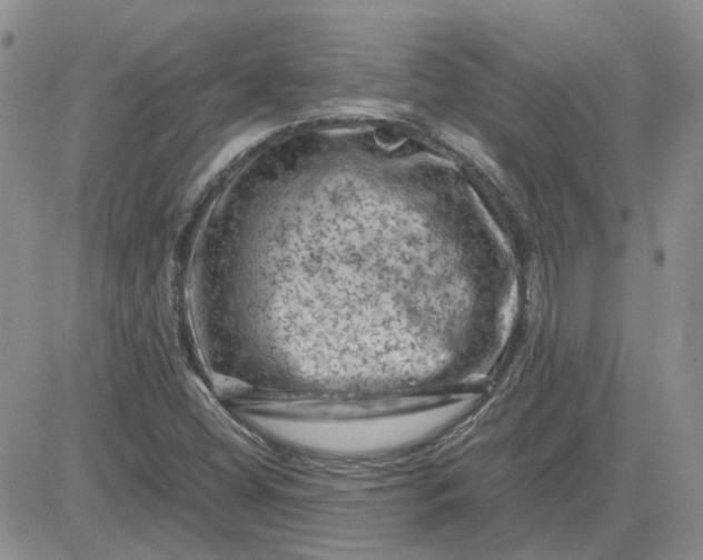 X0000081471404200701261951