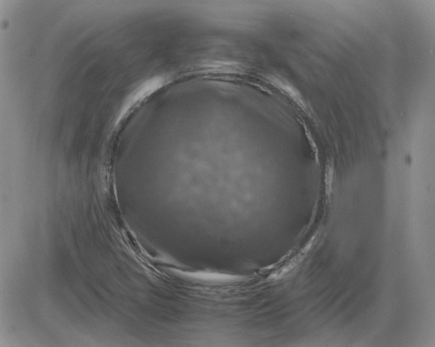 X0000081471405200701261951