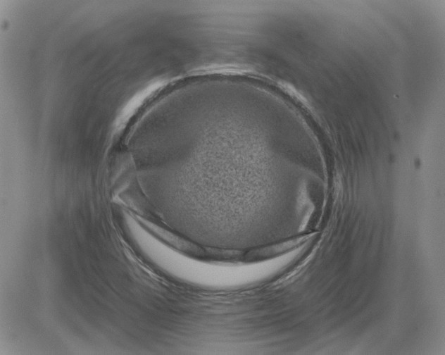 X0000081471406200701261951