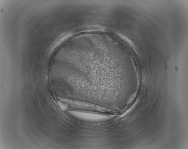 X0000081471407200701261951