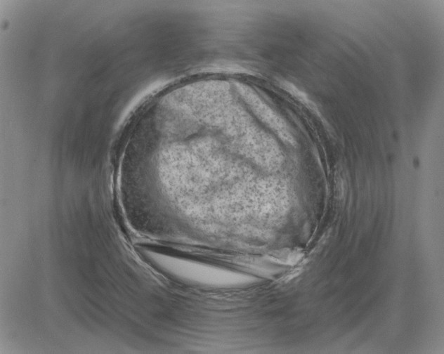 X0000081471408200701261951