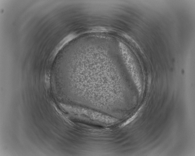 X0000081471409200701261951