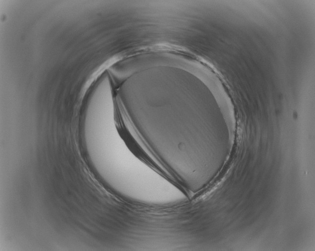 X0000081471410200701261951