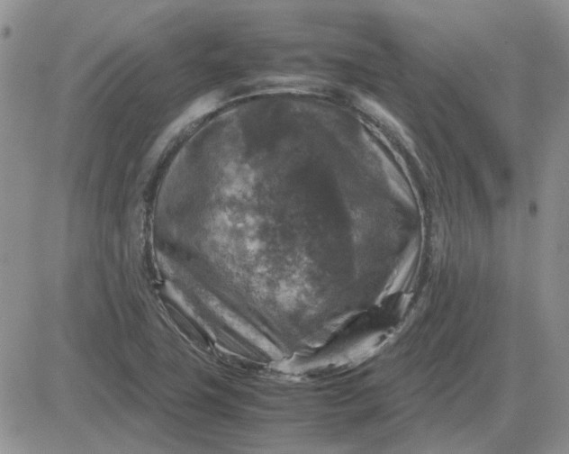 X0000081471411200701261951