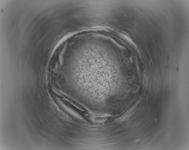 X0000081471412200701261951