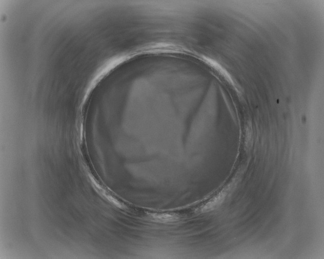 X0000081471413200701261951