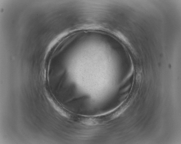 X0000081471414200701261951