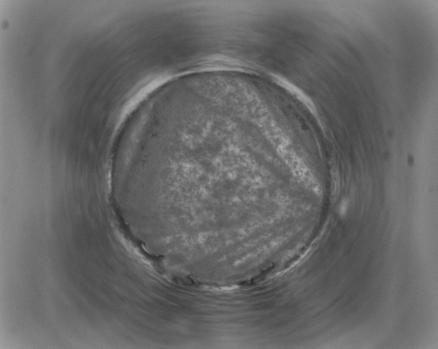 X0000081471415200701261951