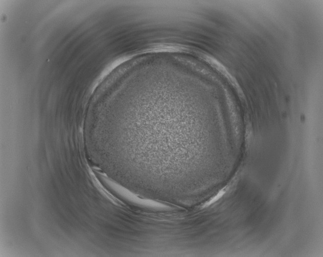 X0000081471417200701261951