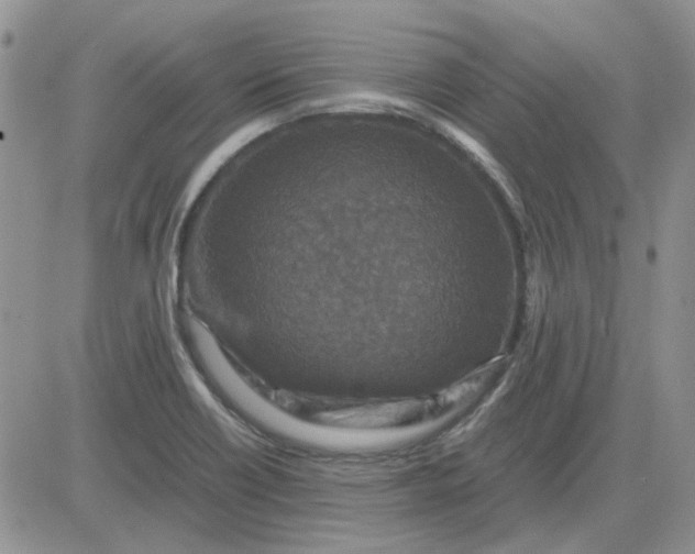 X0000081471418200701261951