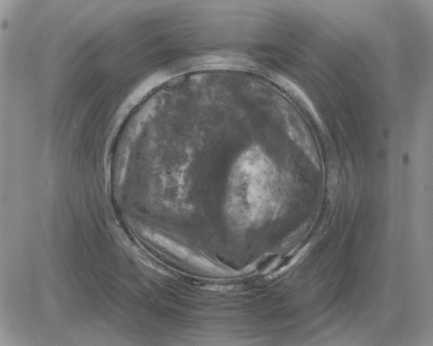 X0000081471419200701261951