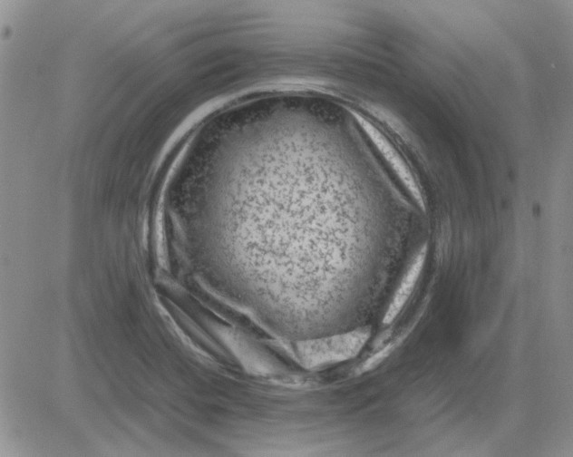 X0000081471420200701261951