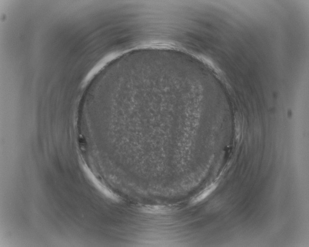 X0000081471422200701261951