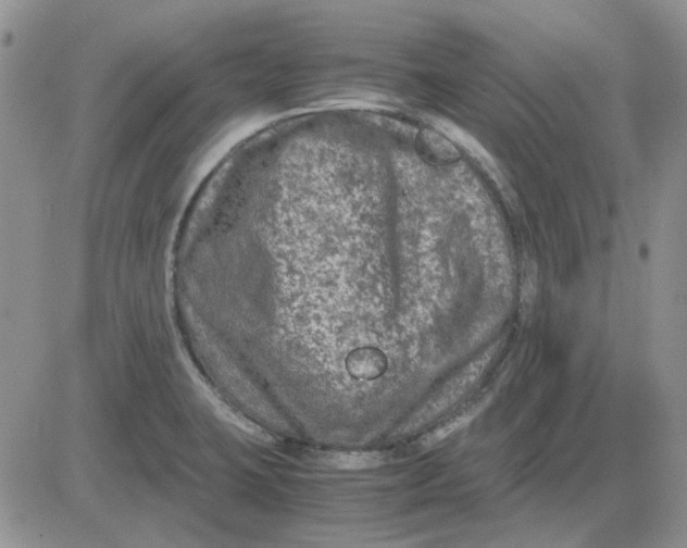 X0000081471423200701261951