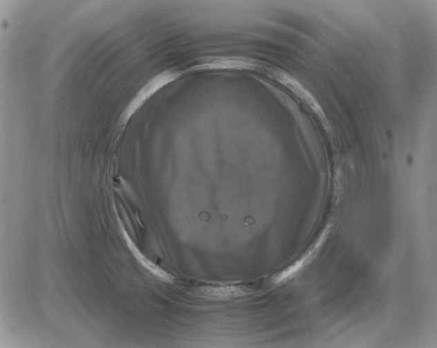 X0000081471425200701261952