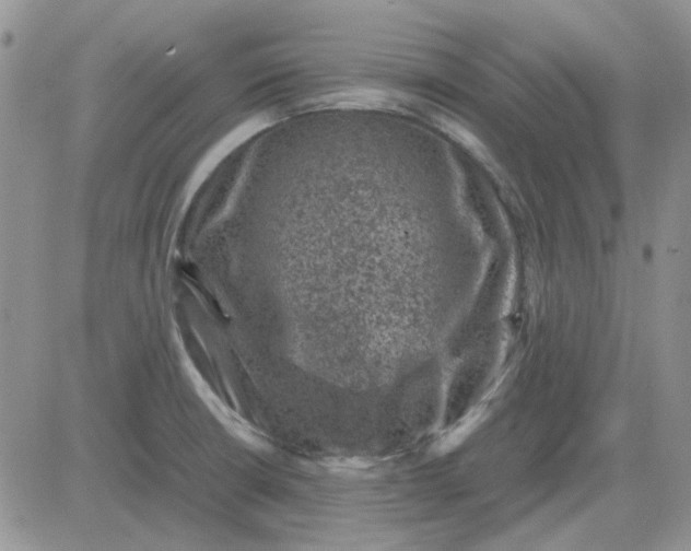 X0000081471426200701261952