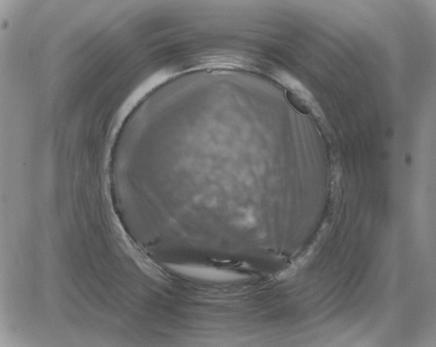 X0000081471427200701261952