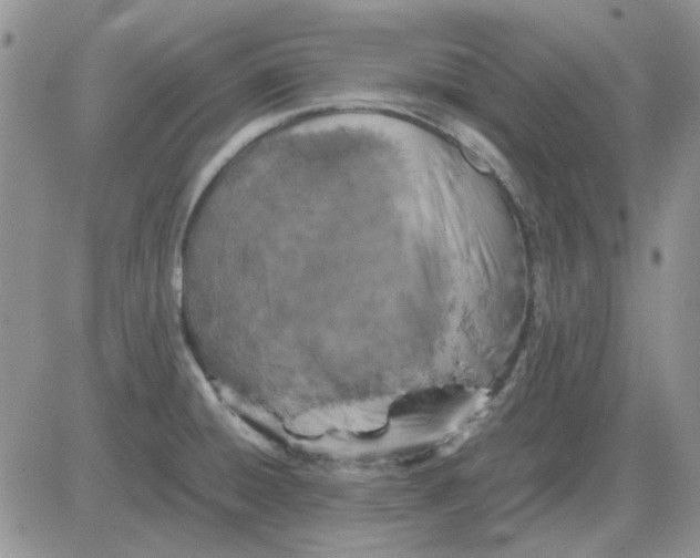 X0000081471428200701261952