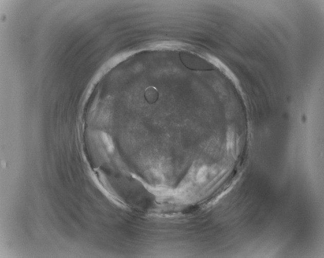 X0000081471429200701261952