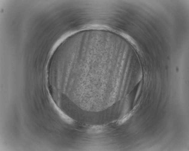 X0000081471430200701261952