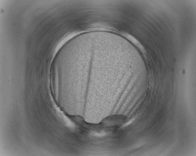 X0000081471431200701261952