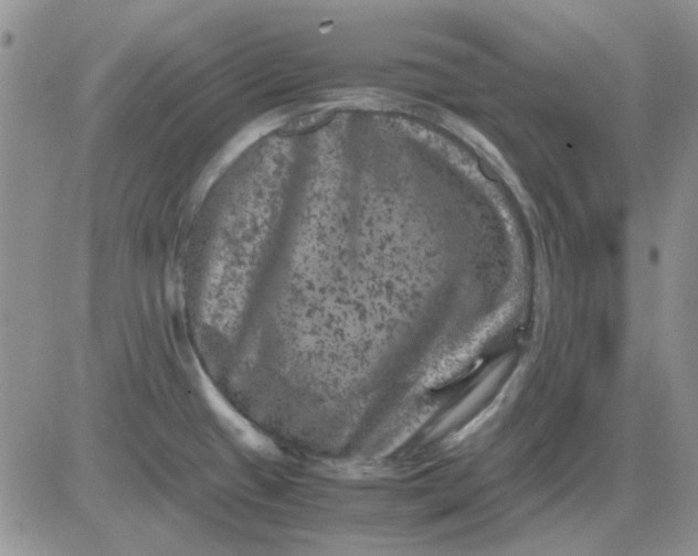 X0000081471433200701261952