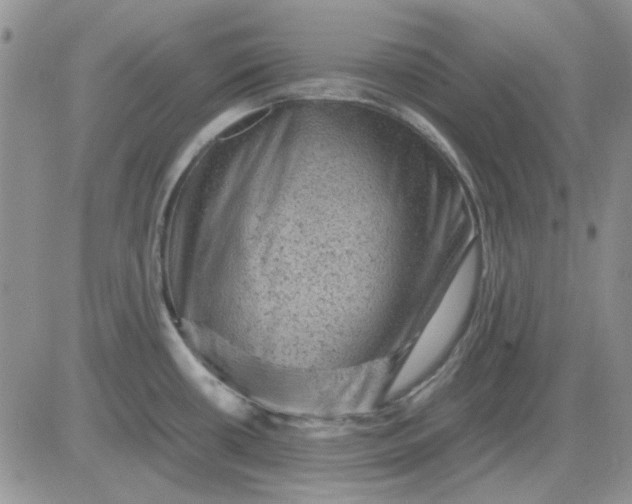 X0000081471434200701261952