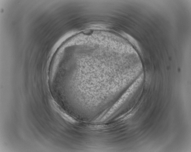 X0000081471435200701261952