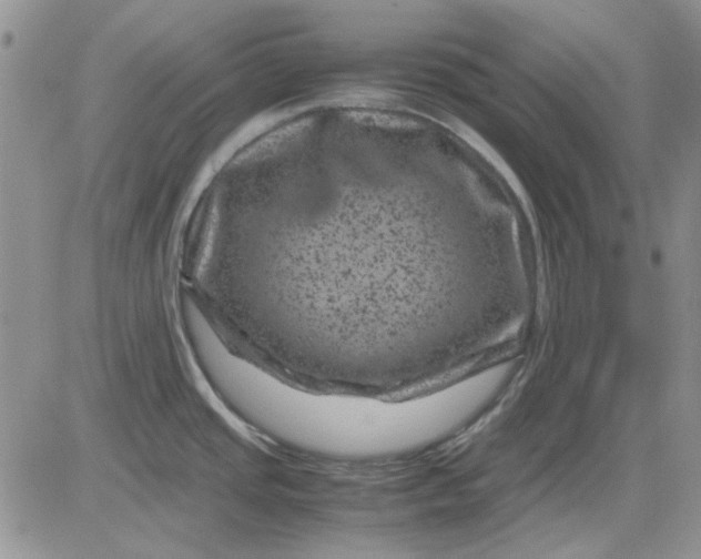 X0000081471437200701261952