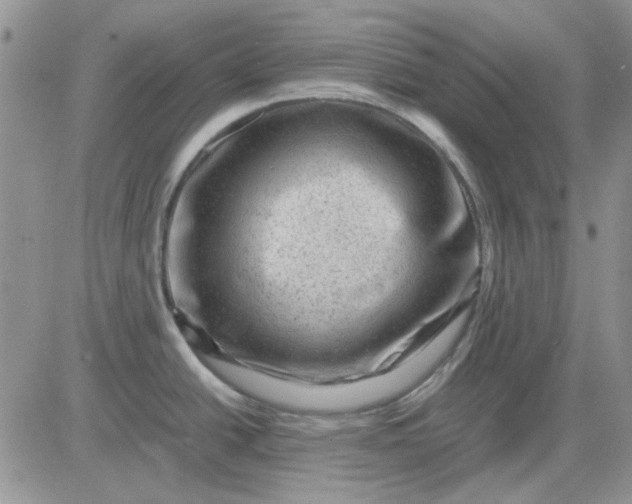 X0000081471438200701261952