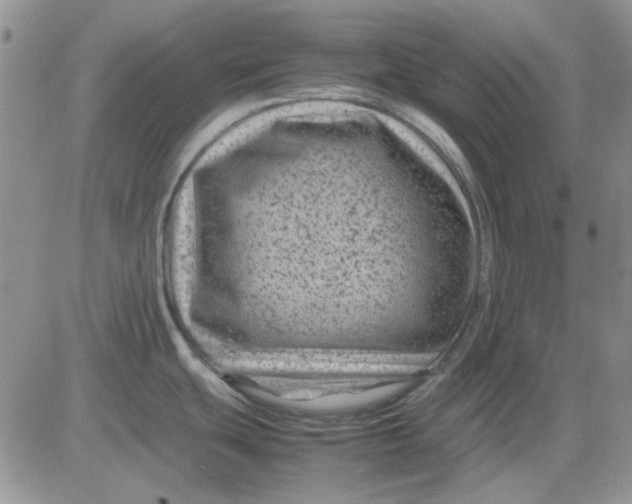 X0000081471439200701261952