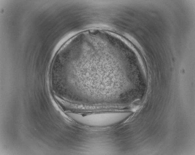 X0000081471440200701261952