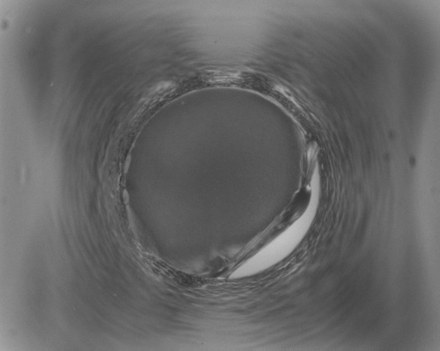 X0000081471441200701261951