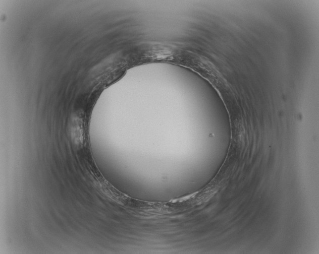 X0000081471442200701261951