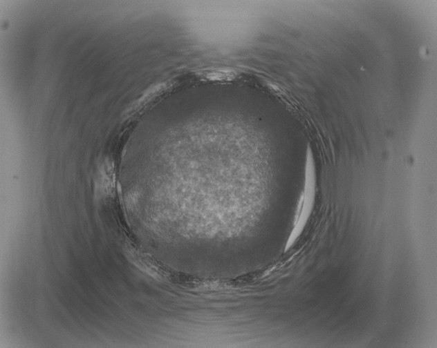 X0000081471443200701261951