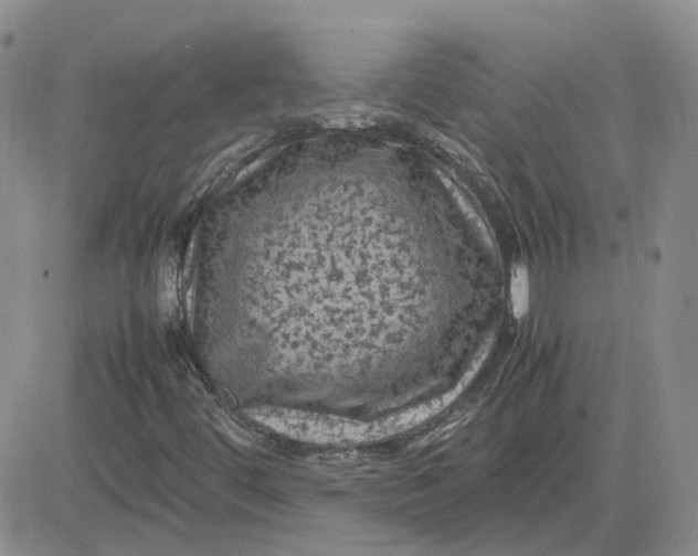 X0000081471444200701261951